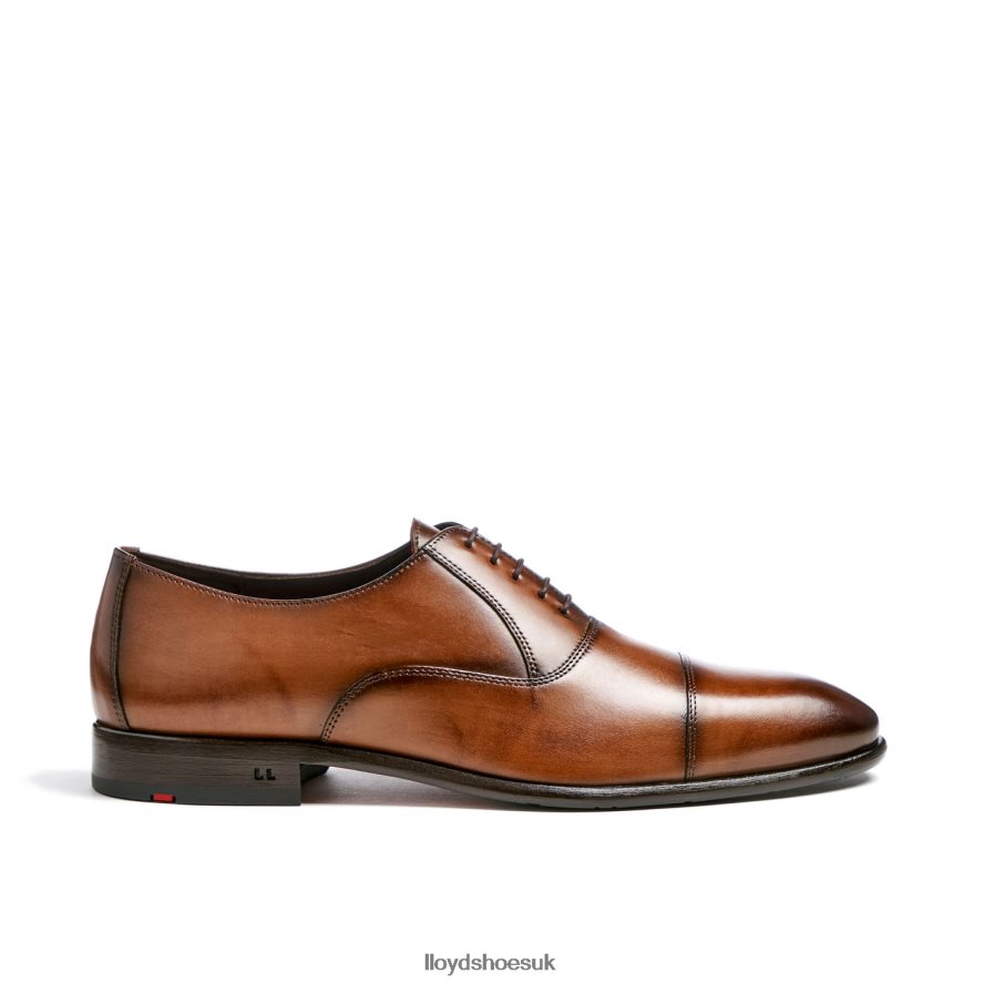 LLOYD Men POOL H4BXXT1 Shoes brown