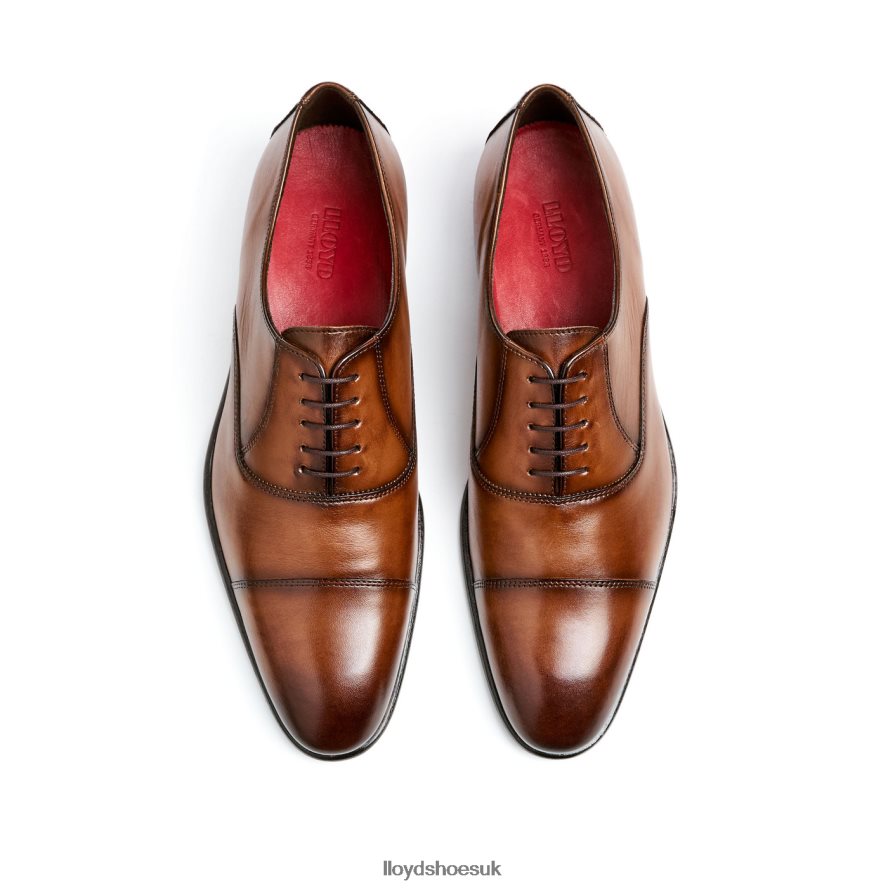 LLOYD Men POOL H4BXXT1 Shoes brown