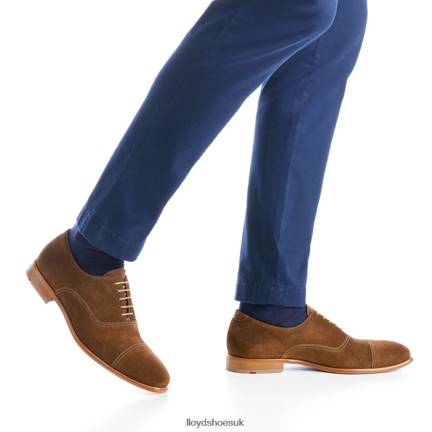 LLOYD Men RANDO H4BXXT231 Shoes brown