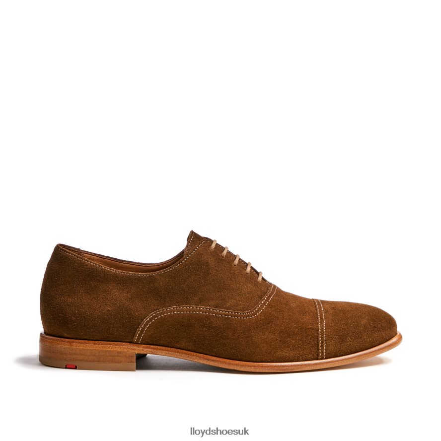 LLOYD Men RANDO H4BXXT231 Shoes brown
