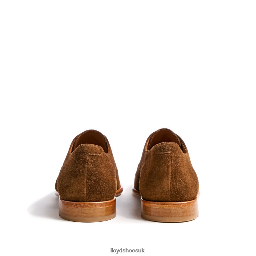 LLOYD Men RANDO H4BXXT231 Shoes brown