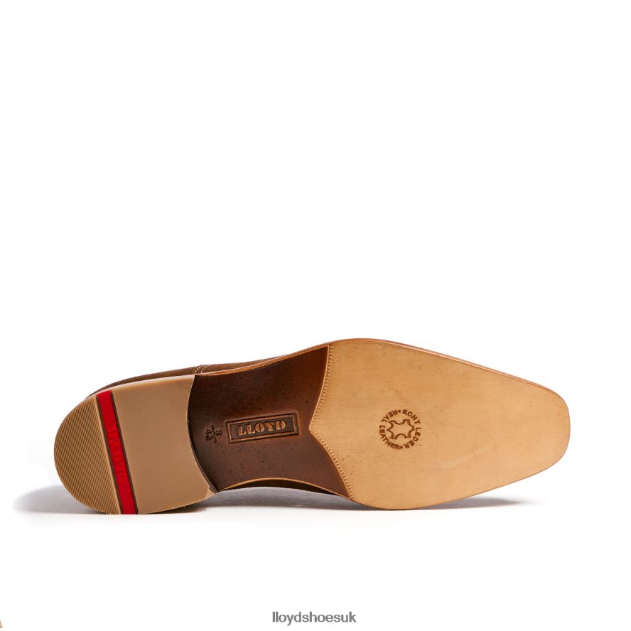 LLOYD Men RANDO H4BXXT231 Shoes brown