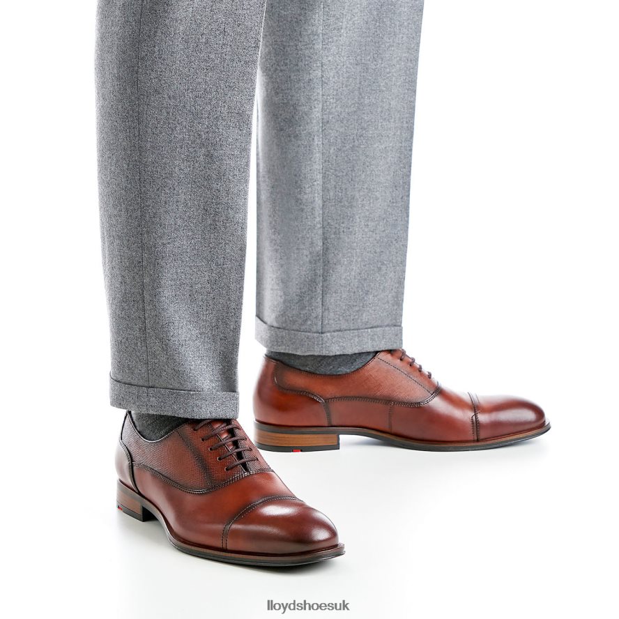 LLOYD Men SANTIAGO H4BXXT238 Shoes brown