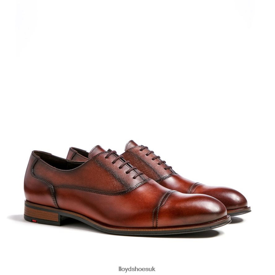 LLOYD Men SANTIAGO H4BXXT238 Shoes brown