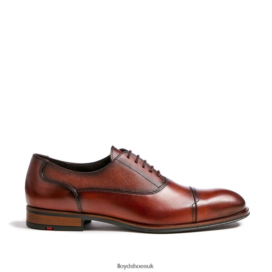 LLOYD Men SANTIAGO H4BXXT238 Shoes brown