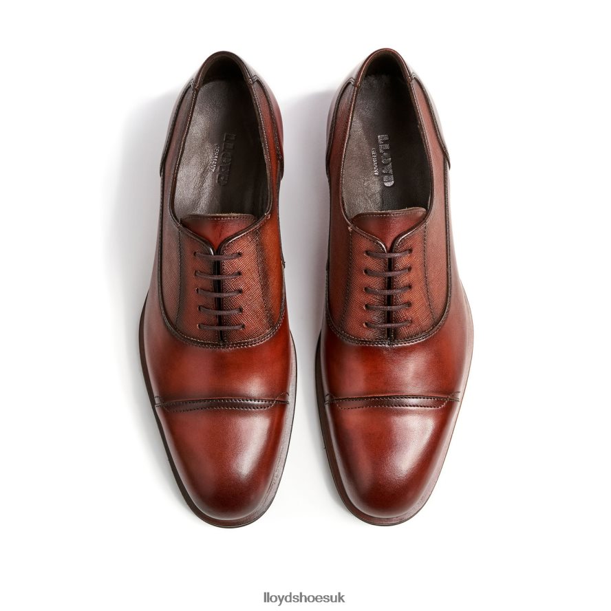 LLOYD Men SANTIAGO H4BXXT238 Shoes brown