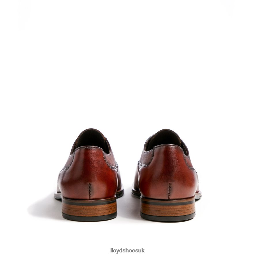 LLOYD Men SANTIAGO H4BXXT238 Shoes brown