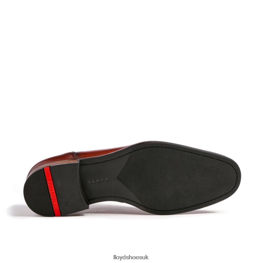 LLOYD Men SANTIAGO H4BXXT238 Shoes brown