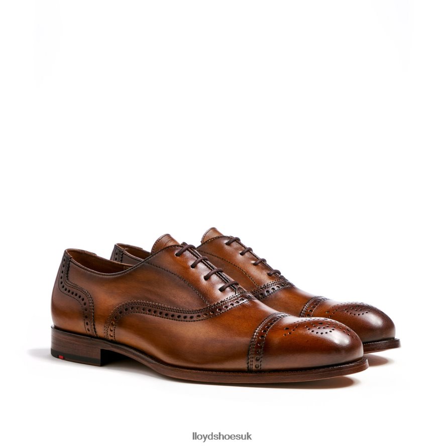 LLOYD Men SHEFFIELD H4BXXT219 Shoes brown