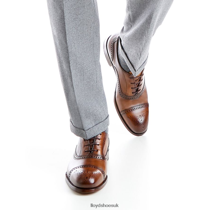 LLOYD Men SHEFFIELD H4BXXT219 Shoes brown