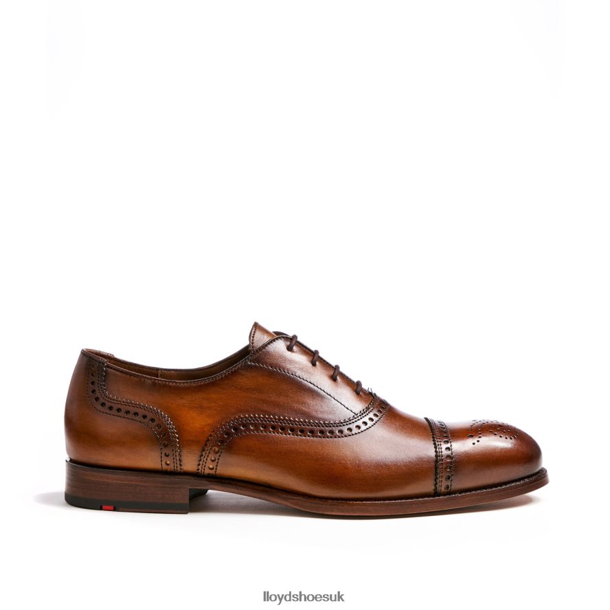 LLOYD Men SHEFFIELD H4BXXT219 Shoes brown