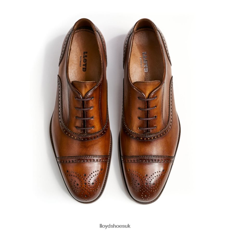 LLOYD Men SHEFFIELD H4BXXT219 Shoes brown