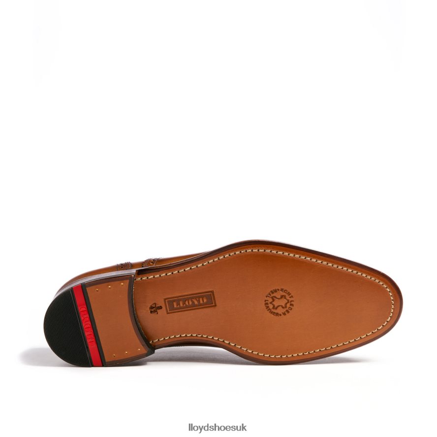 LLOYD Men SHEFFIELD H4BXXT219 Shoes brown
