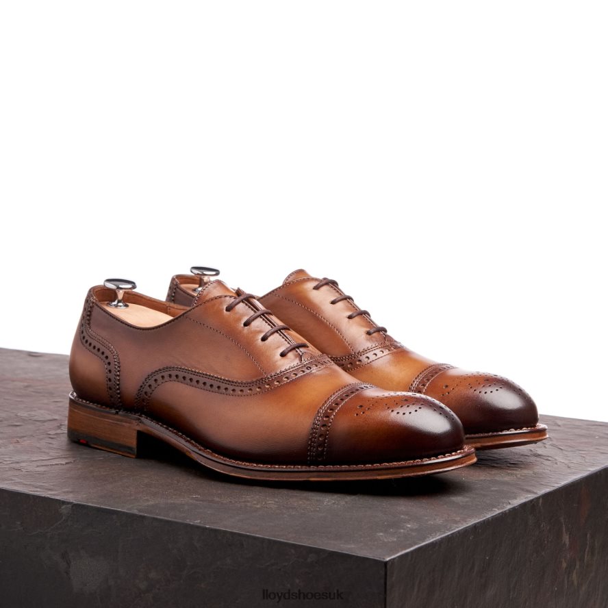 LLOYD Men WATERLOO H4BXXT21 Shoes brown