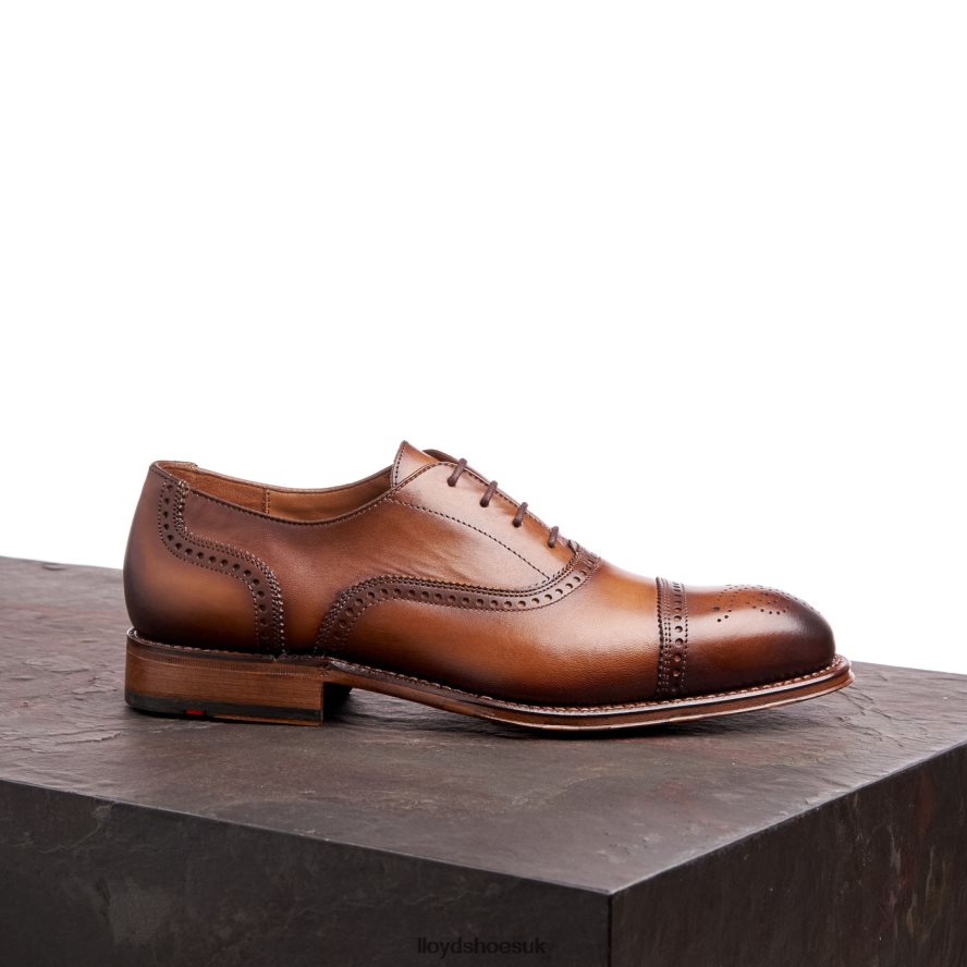 LLOYD Men WATERLOO H4BXXT21 Shoes brown