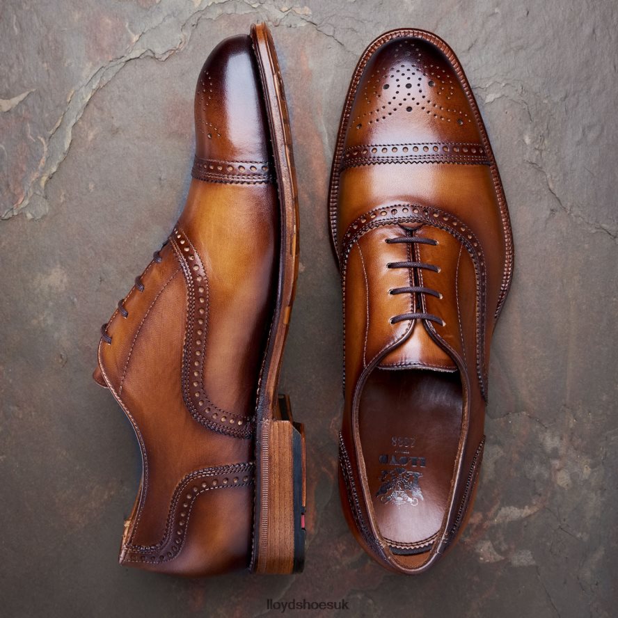 LLOYD Men WATERLOO H4BXXT21 Shoes brown
