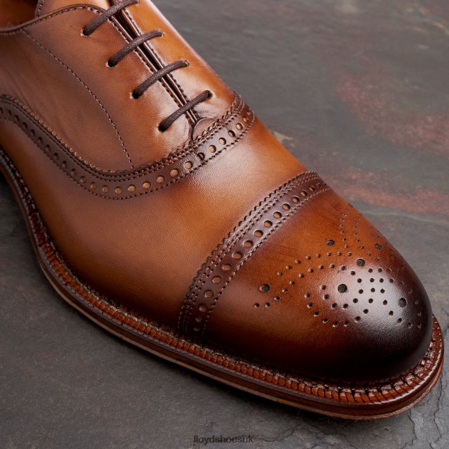 LLOYD Men WATERLOO H4BXXT21 Shoes brown