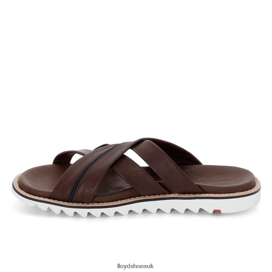 LLOYD Men EDVINO H4BXXT584 Shoes brown