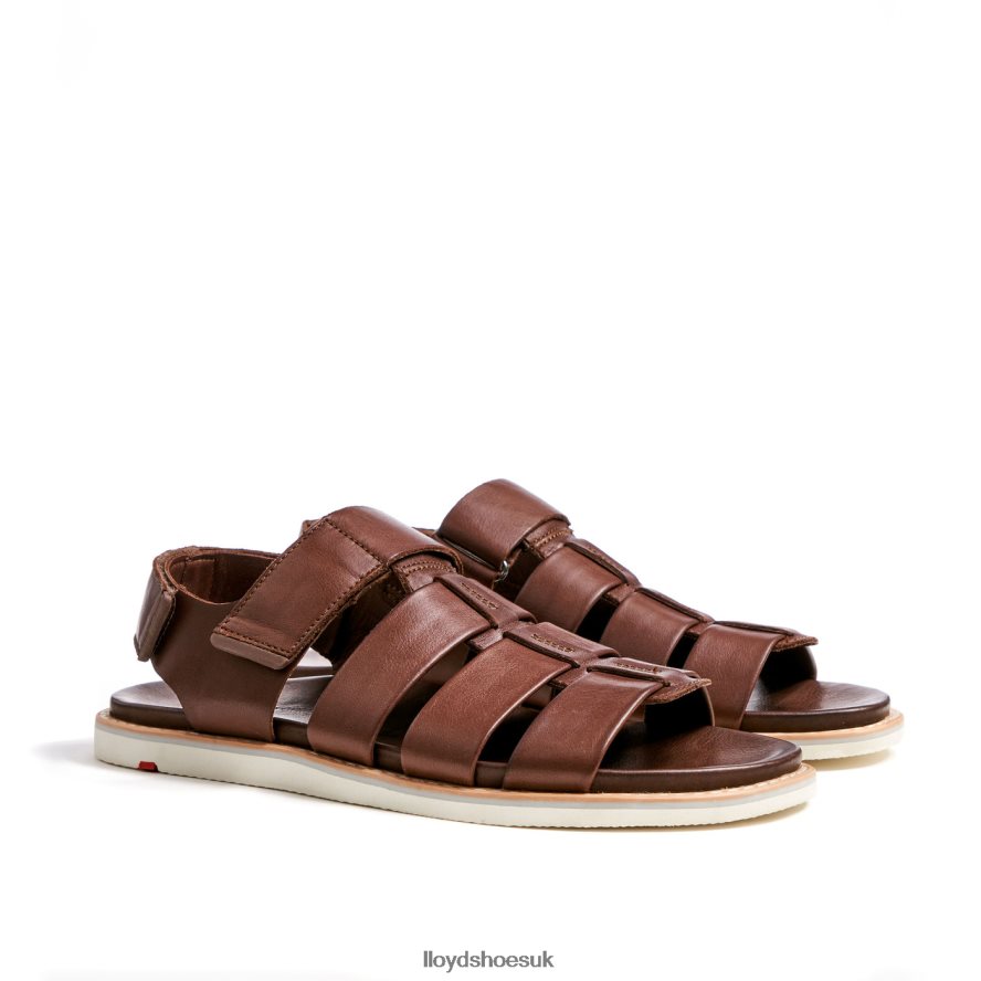 LLOYD Men ELIMAR H4BXXT583 Shoes brown