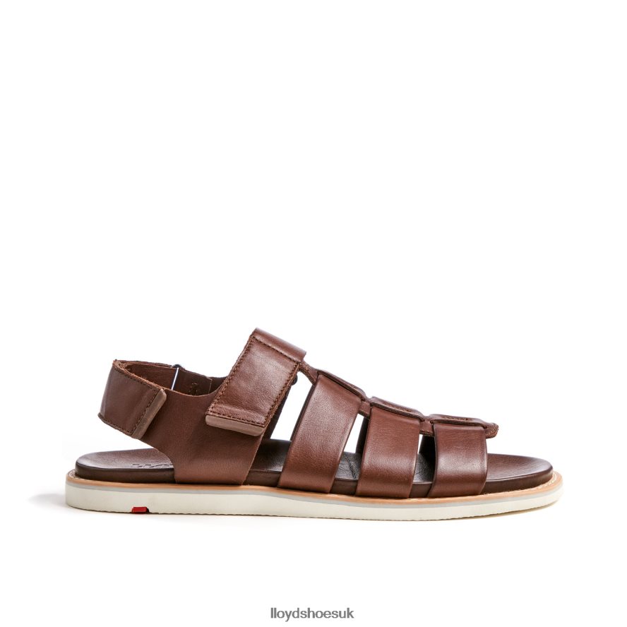 LLOYD Men ELIMAR H4BXXT583 Shoes brown