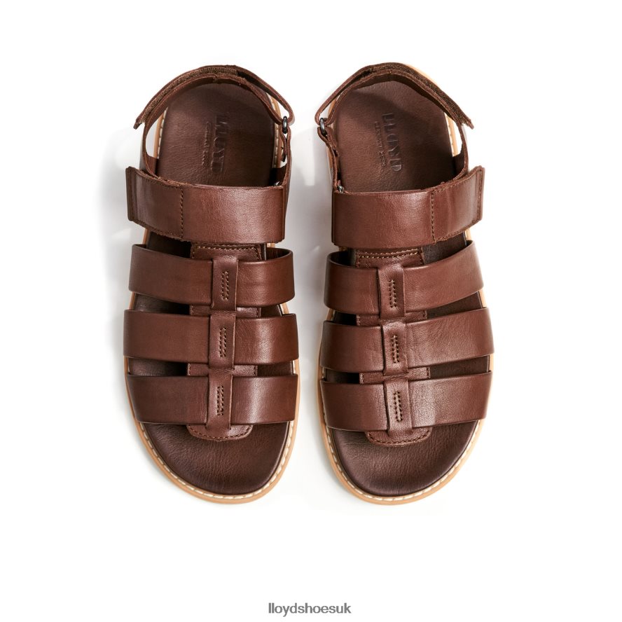 LLOYD Men ELIMAR H4BXXT583 Shoes brown