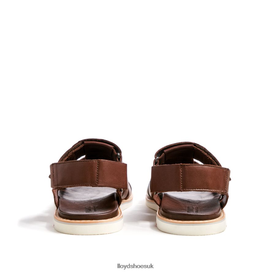 LLOYD Men ELIMAR H4BXXT583 Shoes brown