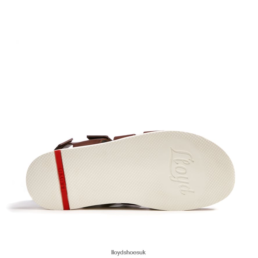 LLOYD Men ELIMAR H4BXXT583 Shoes brown