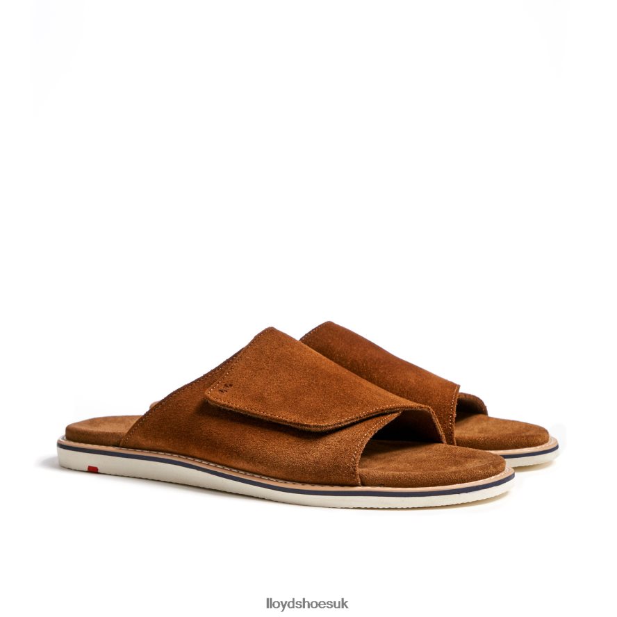 LLOYD Men ELIOS H4BXXT581 Shoes brown