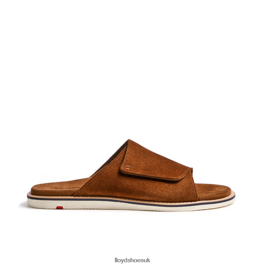 LLOYD Men ELIOS H4BXXT581 Shoes brown