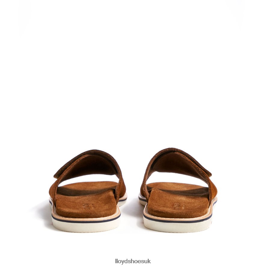 LLOYD Men ELIOS H4BXXT581 Shoes brown