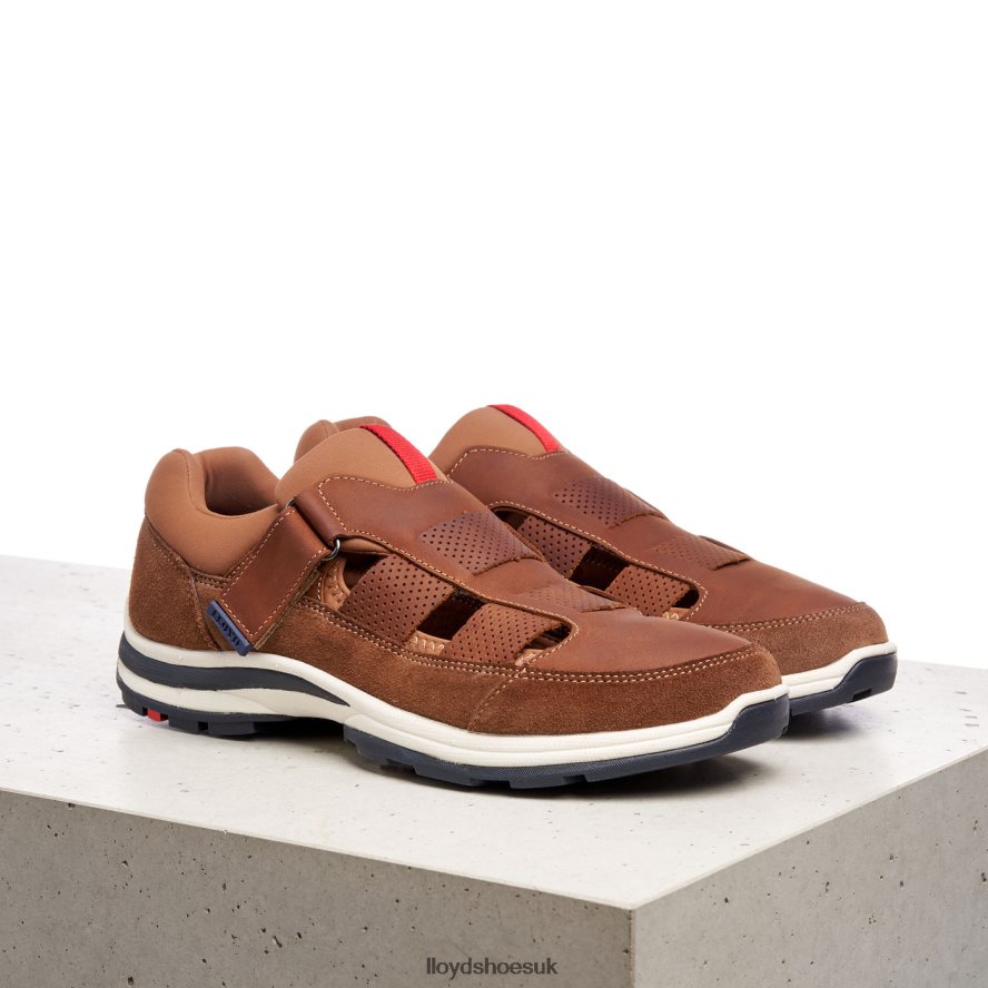 LLOYD Men ELRADO H4BXXT625 Shoes brown