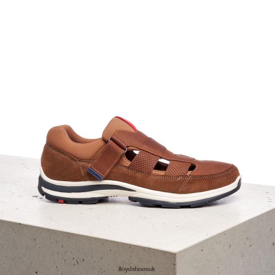 LLOYD Men ELRADO H4BXXT625 Shoes brown