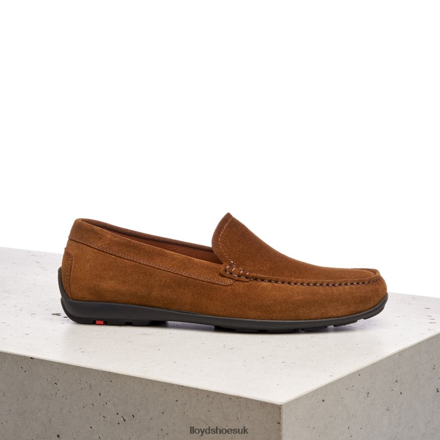 LLOYD Men EMILIO H4BXXT596 Shoes brown