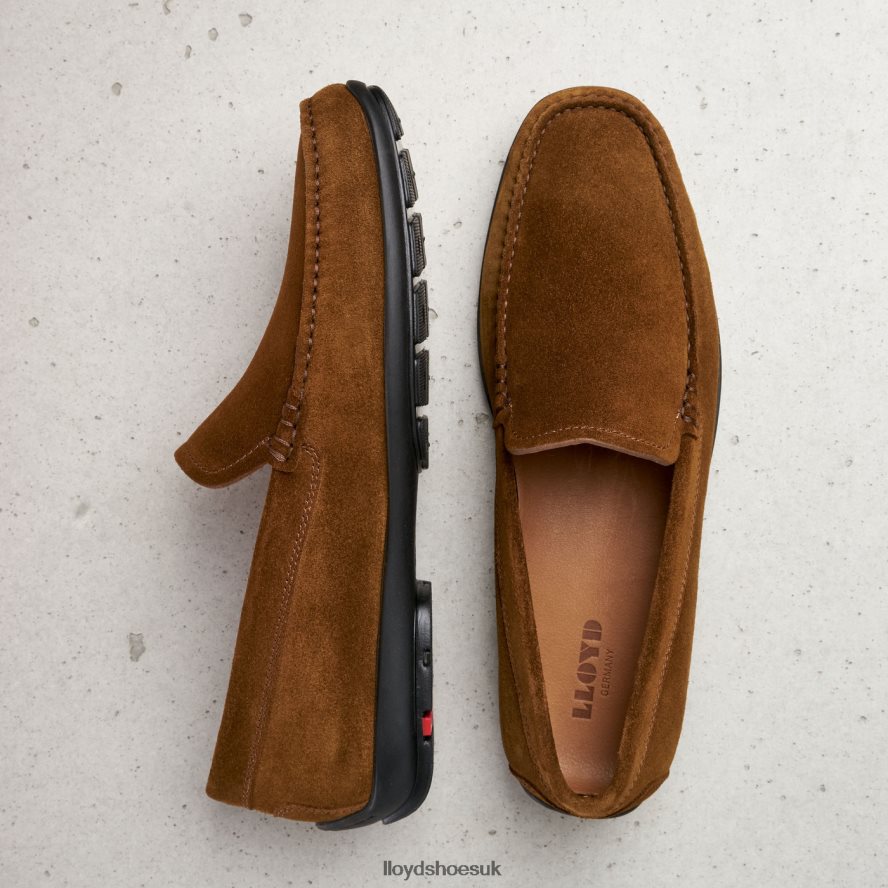LLOYD Men EMILIO H4BXXT596 Shoes brown