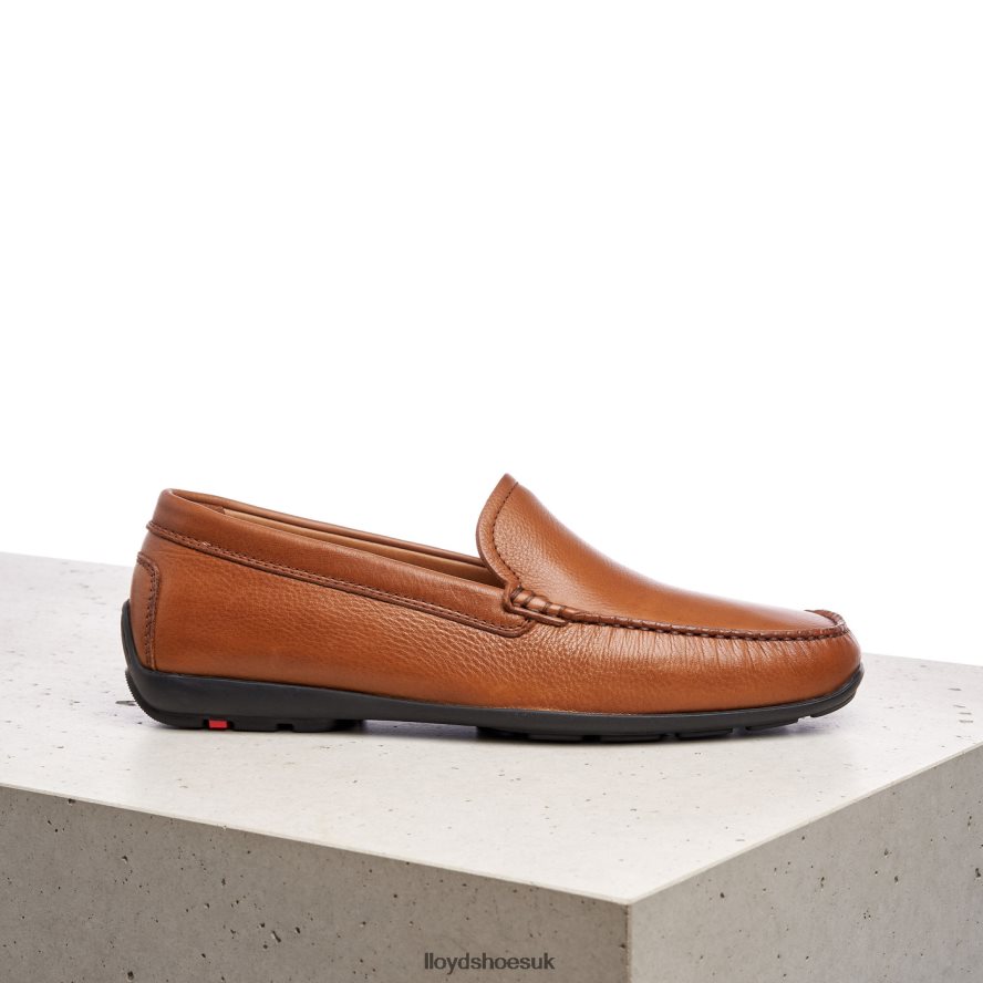 LLOYD Men EMILIO H4BXXT603 Shoes brown