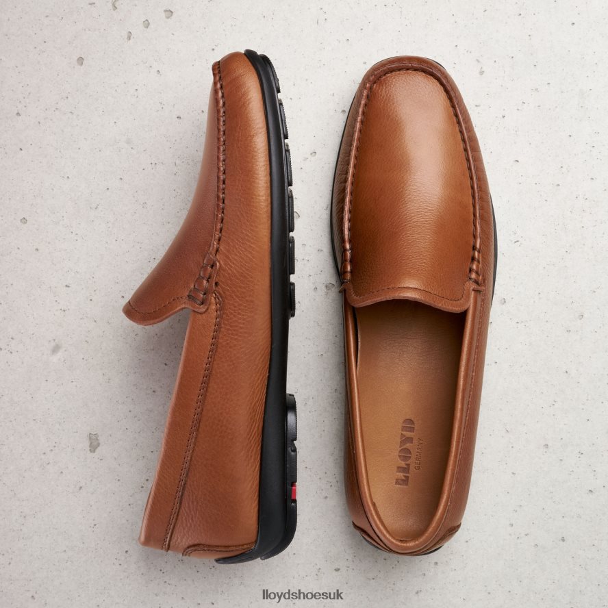LLOYD Men EMILIO H4BXXT603 Shoes brown
