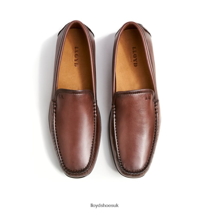 LLOYD Men EMILIO H4BXXT618 Shoes brown