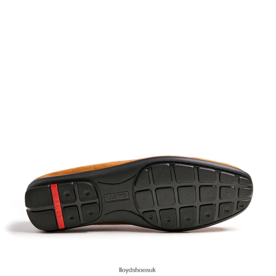 LLOYD Men EMILIO H4BXXT620 Shoes brown