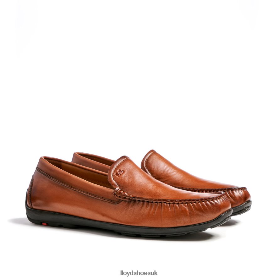 LLOYD Men EMILIO H4BXXT621 Shoes brown