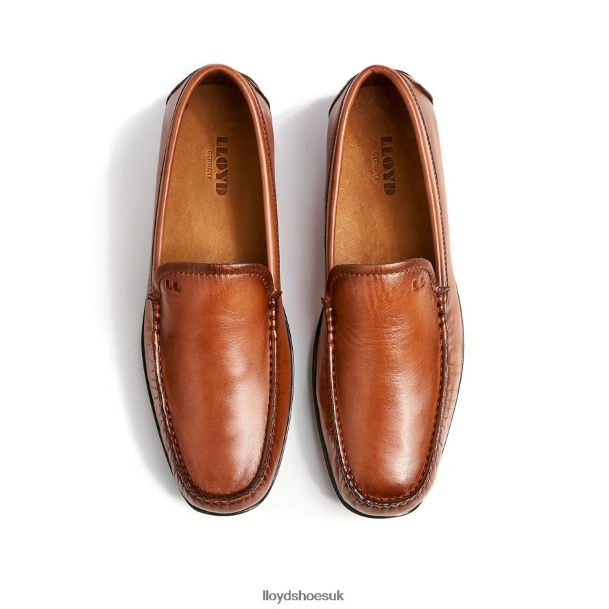LLOYD Men EMILIO H4BXXT621 Shoes brown