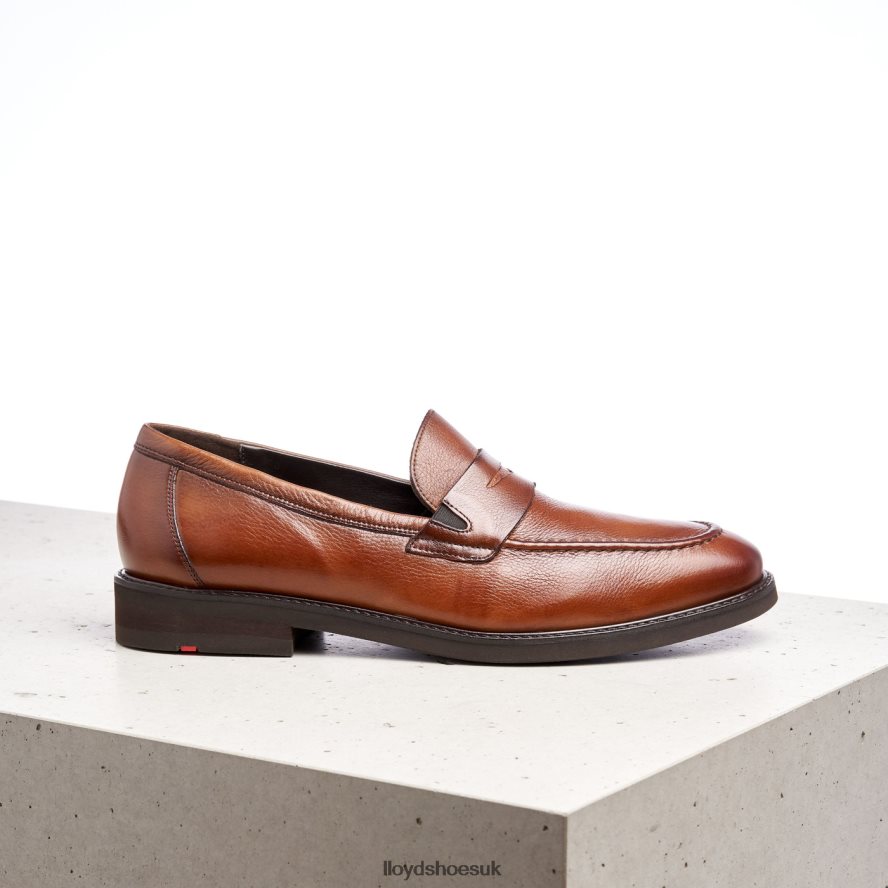 LLOYD Men REG H4BXXT169 Shoes brown