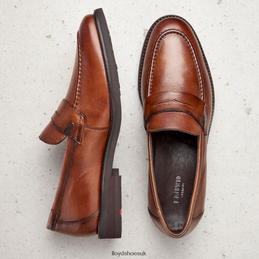 LLOYD Men REG H4BXXT169 Shoes brown