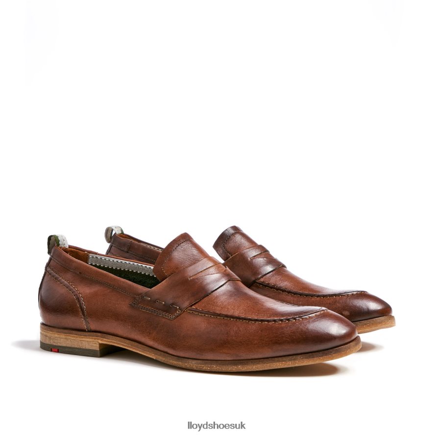 LLOYD Men RIPAN H4BXXT1348 Shoes brown