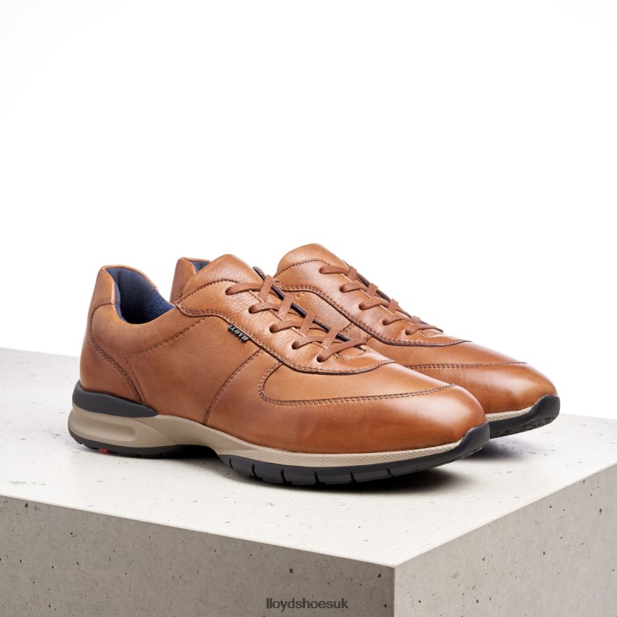 LLOYD Men ABERDEEN H4BXXT392 Shoes brown