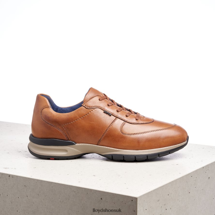 LLOYD Men ABERDEEN H4BXXT392 Shoes brown