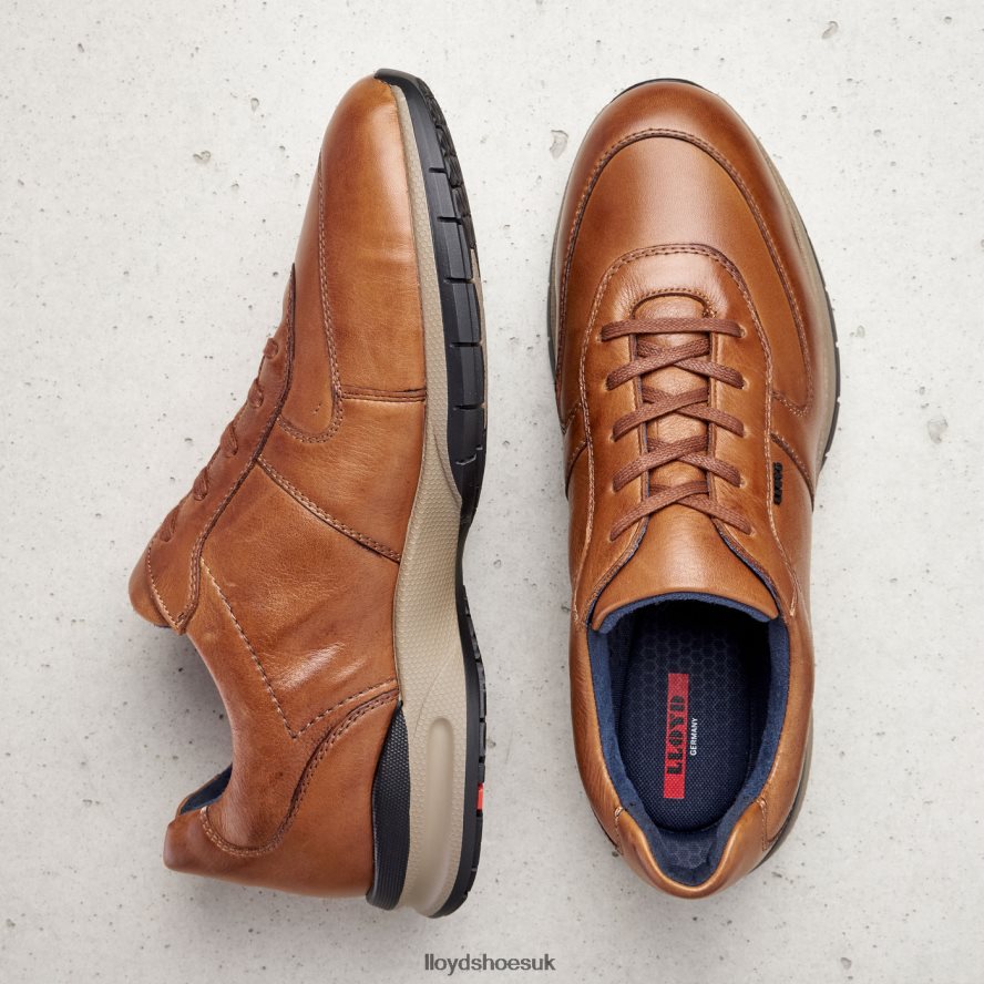 LLOYD Men ABERDEEN H4BXXT392 Shoes brown