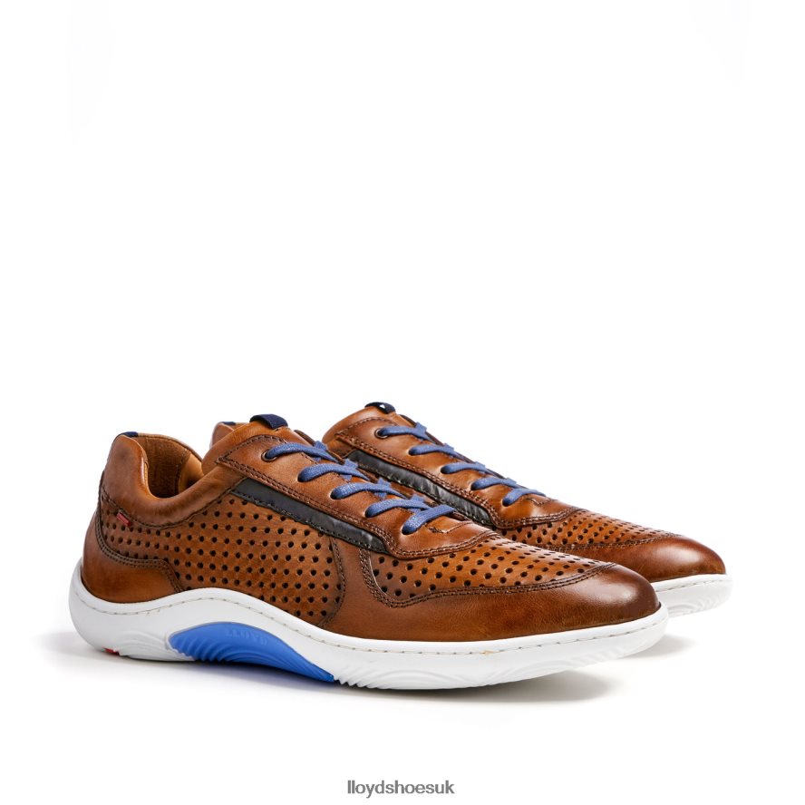 LLOYD Men ABOTT H4BXXT415 Shoes brown