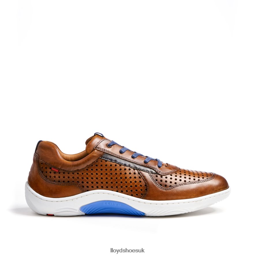 LLOYD Men ABOTT H4BXXT415 Shoes brown