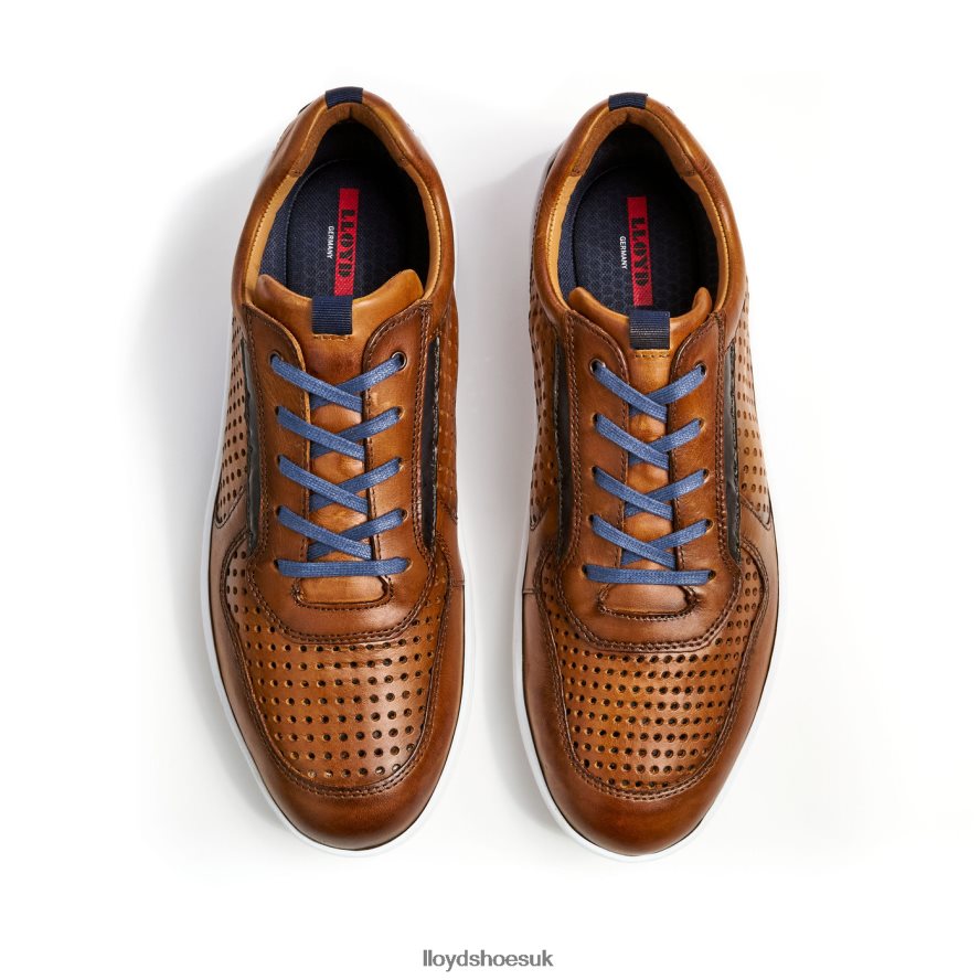LLOYD Men ABOTT H4BXXT415 Shoes brown