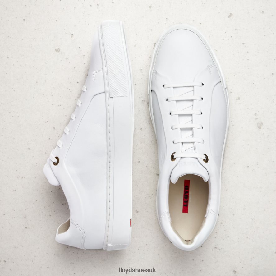 LLOYD Men AJAN H4BXXT1338 Shoes white